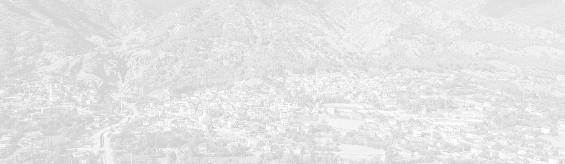 Başkanın Mesajı